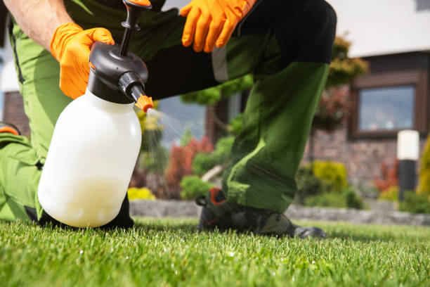 Best Emergency Pest Control  in Nd Lake, WI
