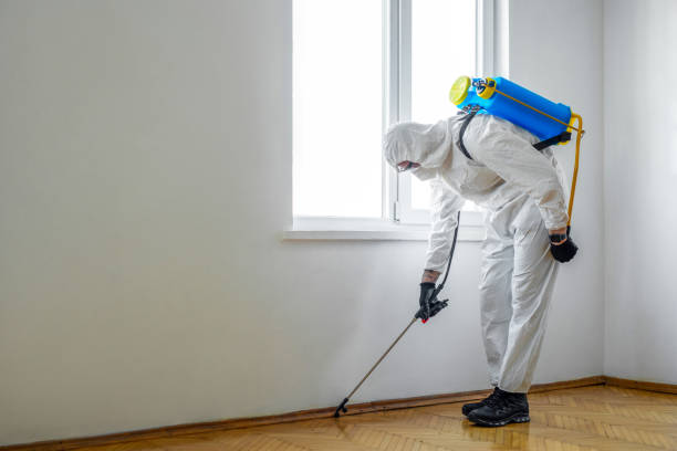 Best Local Pest Control Services  in Nd Lake, WI