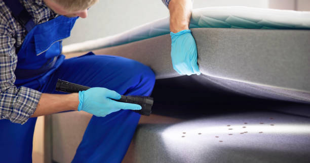 Trusted Wind Lake, WI Pest Control Experts