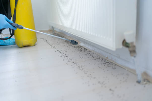 Best Affordable Pest Control Services  in Nd Lake, WI
