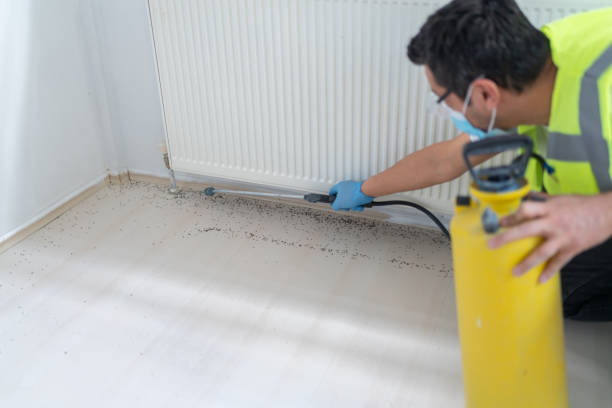 Pest Control for Restaurants in Wind Lake, WI